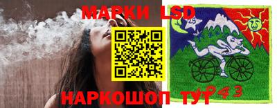 крисы Кинель