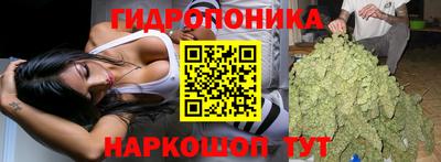 не бодяженный Кингисепп