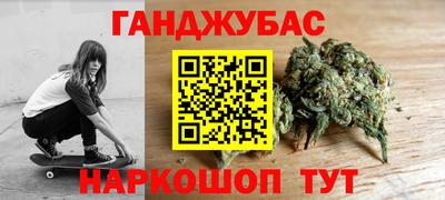крисы Кинель