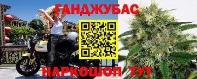 крисы Кинель