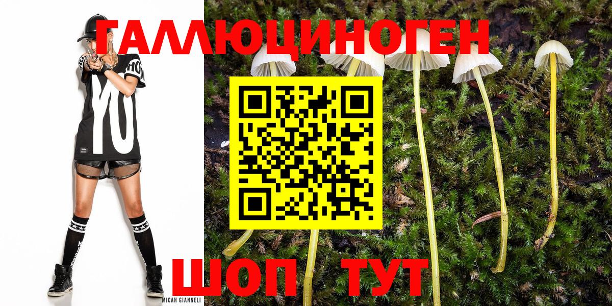 Красный Сулин  наркотики  Вход с VPN  Псилоцибиновые грибы Magic Shrooms 